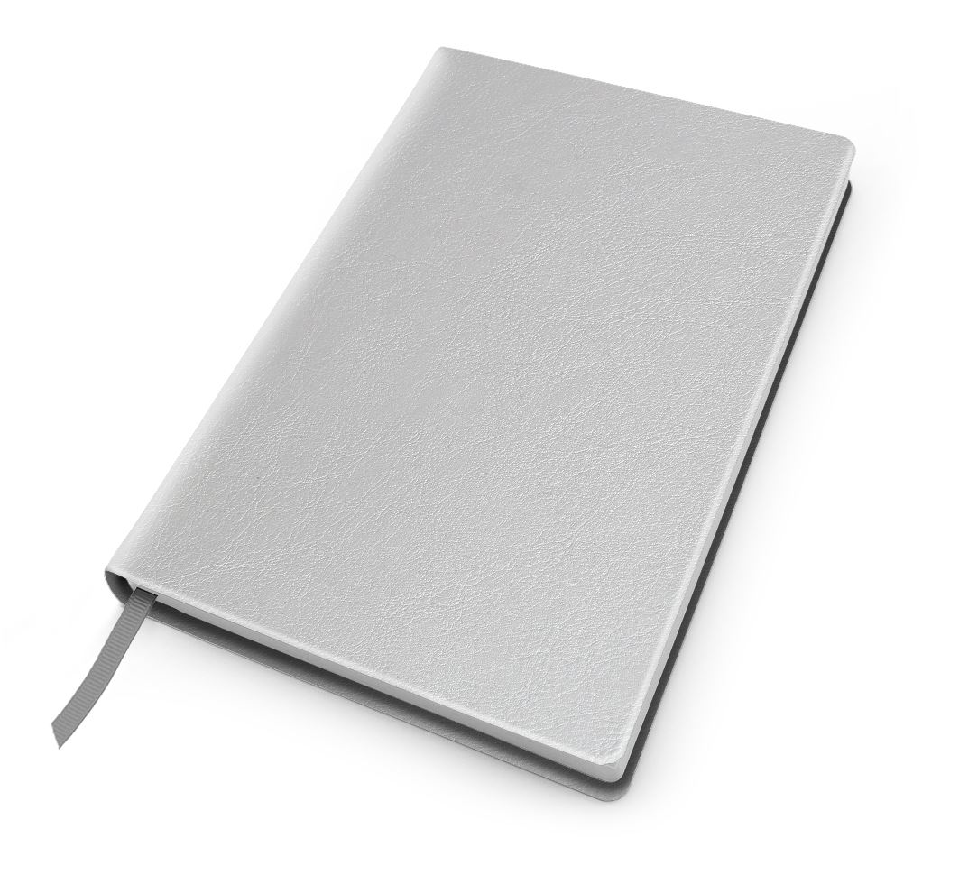 Metallic Leather Look A5 Casebound Notebook Juniper
