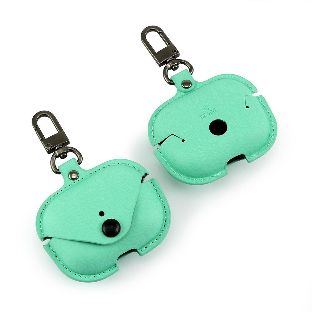 AirPod Case